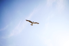20090801_IMG_2890