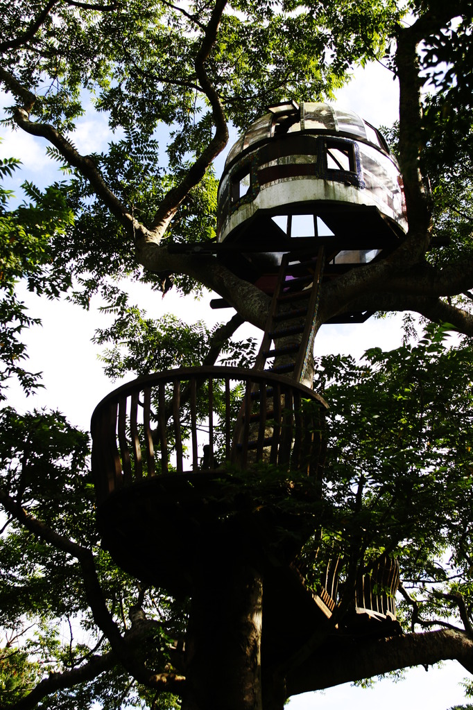 TREE HOUSE☆