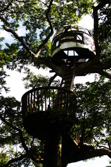 TREE HOUSE☆
