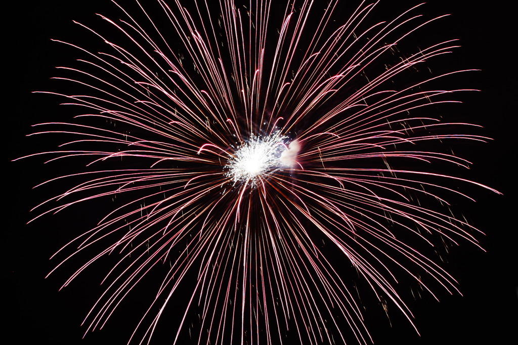20090816_IMG_4564