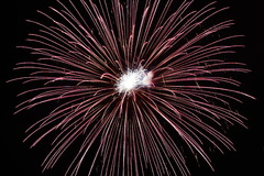 20090816_IMG_4564