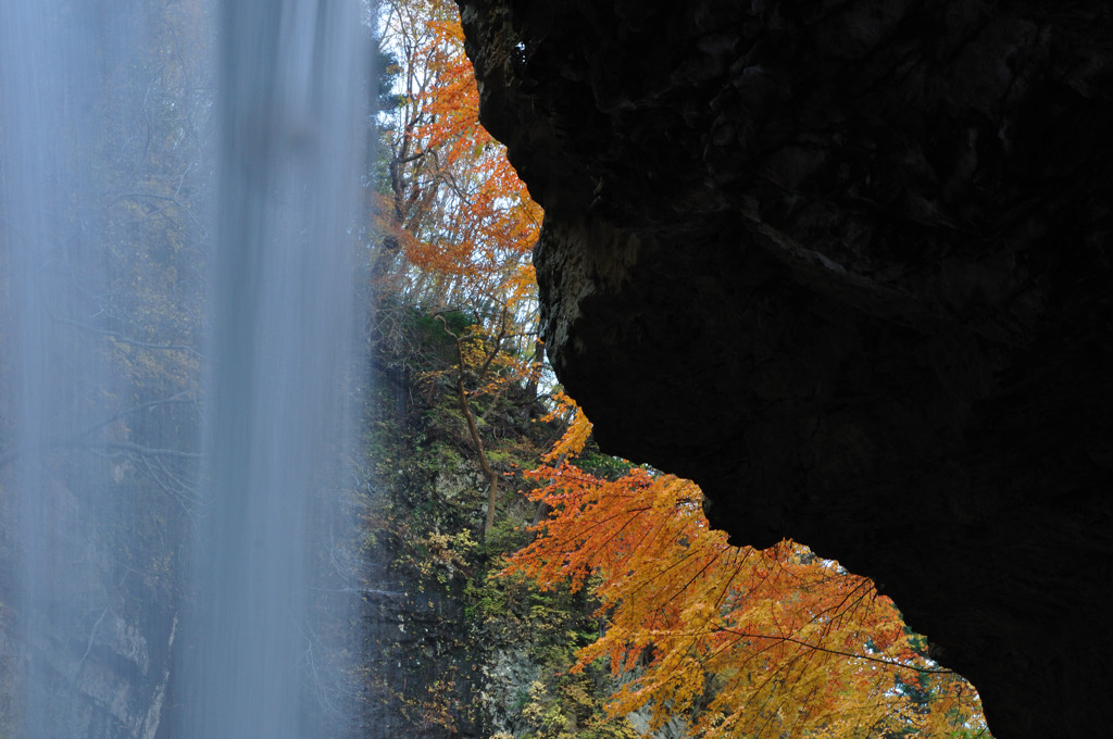 紅葉の滝