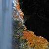 紅葉の滝