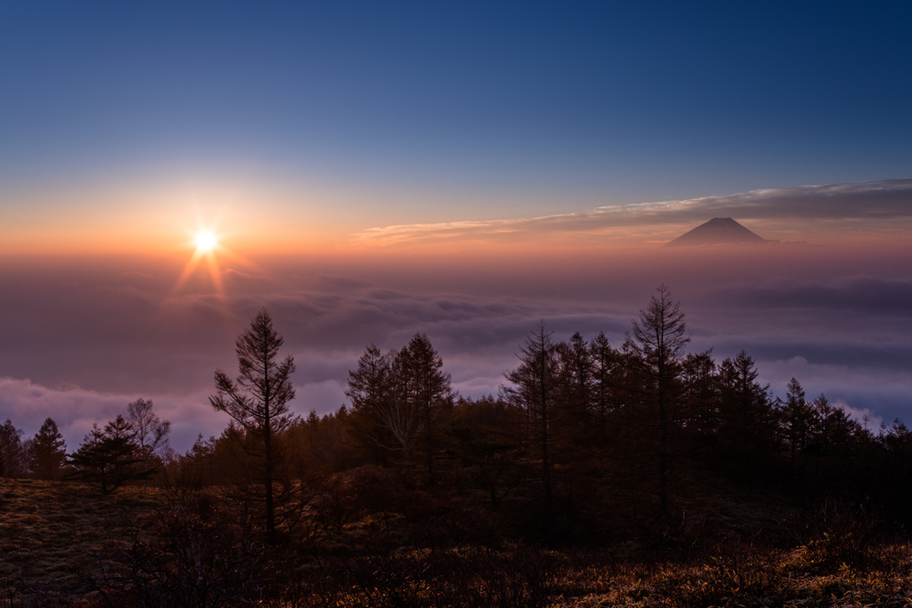 甘利山頂の朝