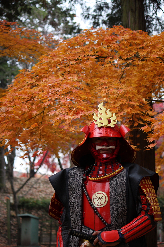紅葉と武者
