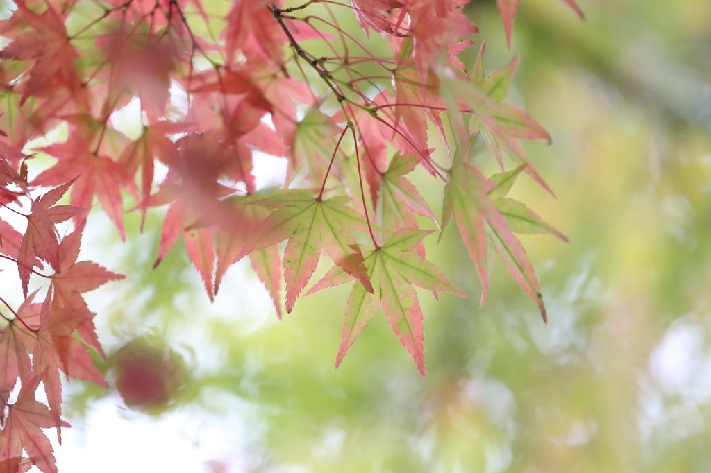 季節の終わり、季節の始まり