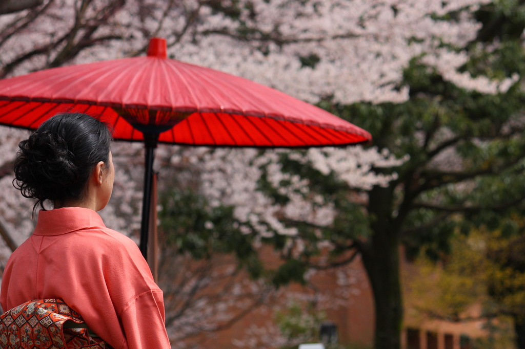 和の華