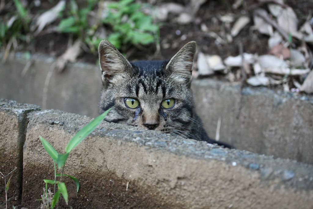 拭きたい・・・