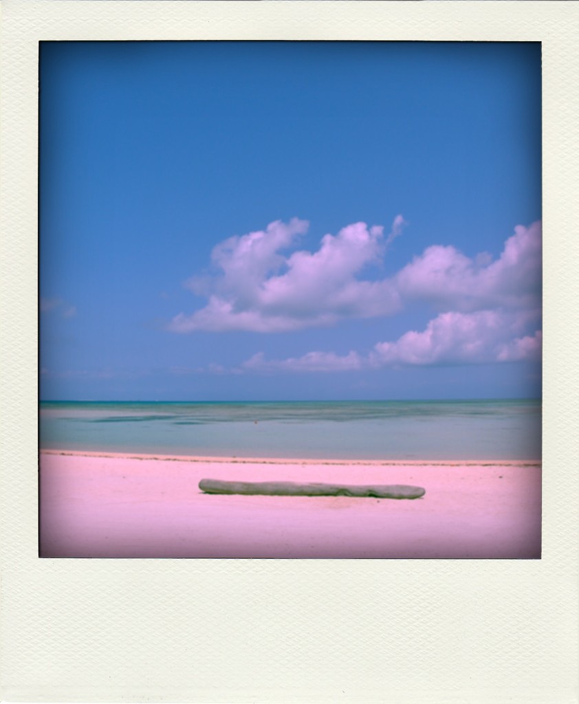 2009_Ishigaki 433-pola