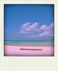 2009_Ishigaki 433-pola