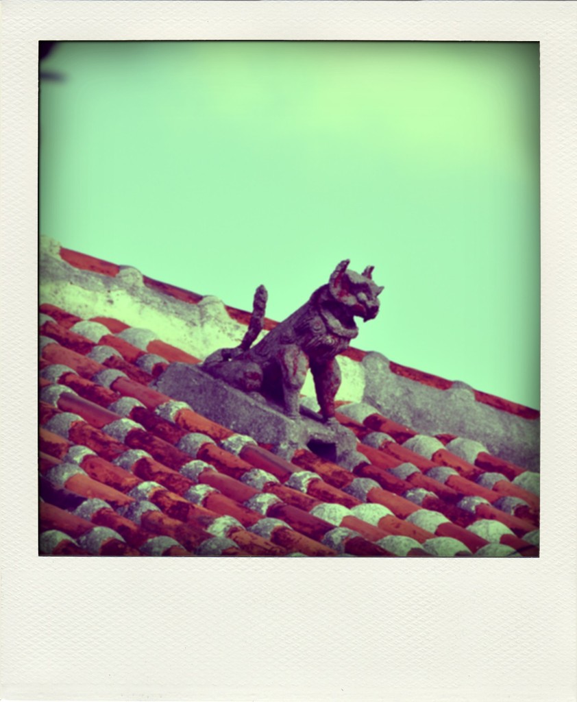 2009_Ishigaki 176-pola