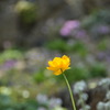 DSC_6739