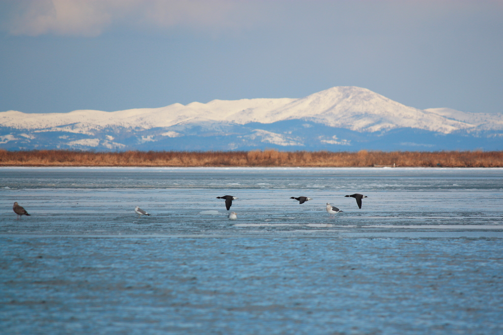 Passing The Winter