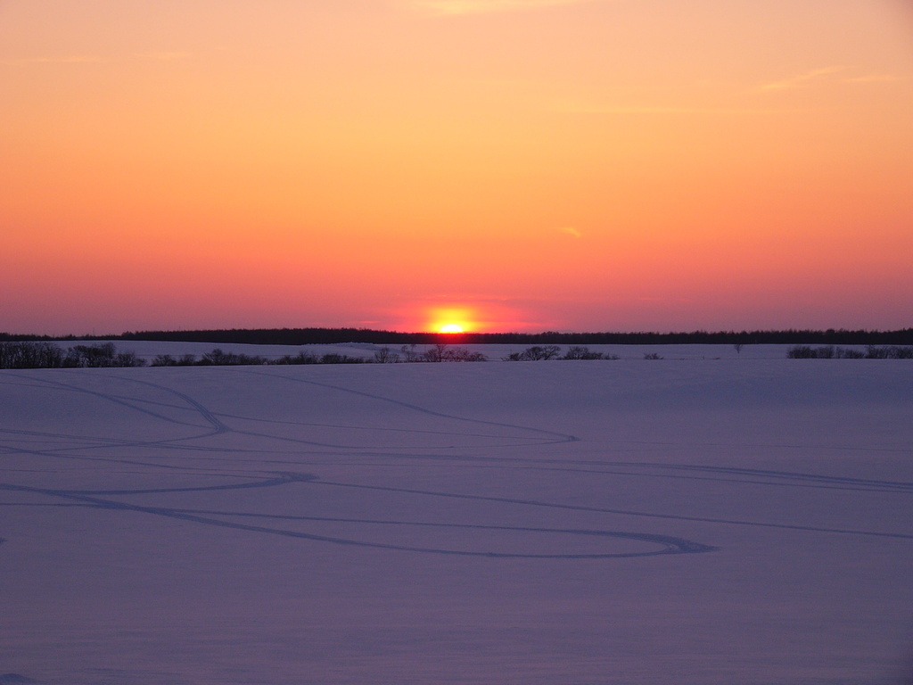 夕日