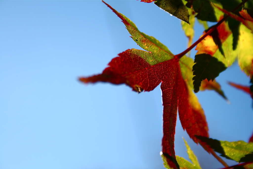 Color change