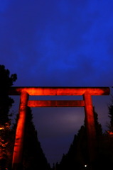 靖国神社　大鳥居