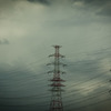 冬音　№１