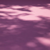 春風に　　　№・・5