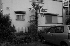 奈良町・景　№1