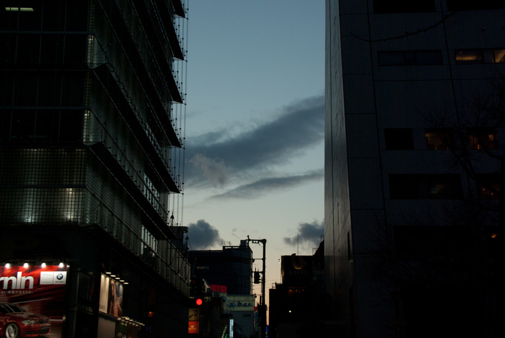 冬音　№5