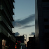 冬音　№5