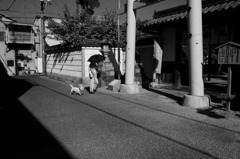 奈良町・景　№17