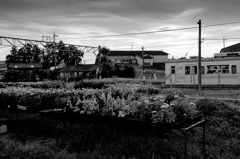 京終　№１3
