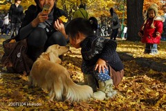 銀杏の樹の下で