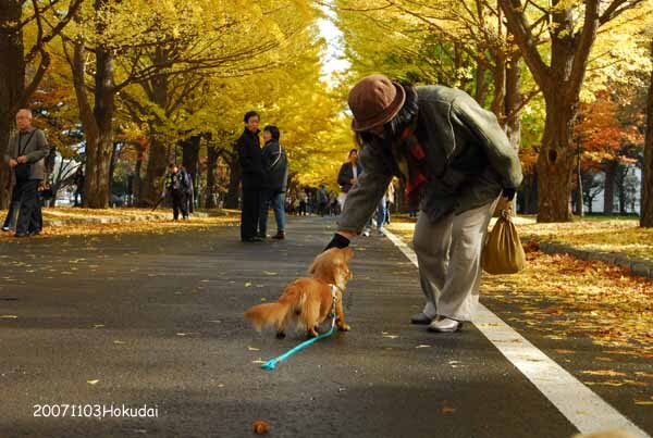 銀杏の樹の下で