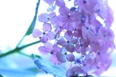 休息