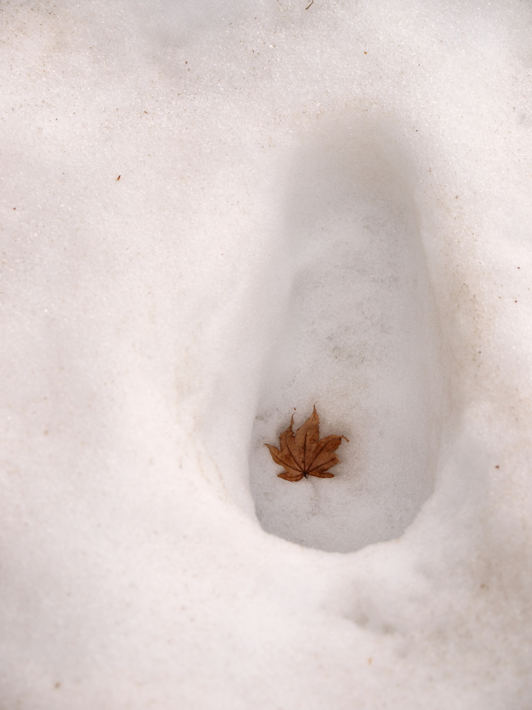 雪の中で