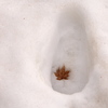 雪の中で