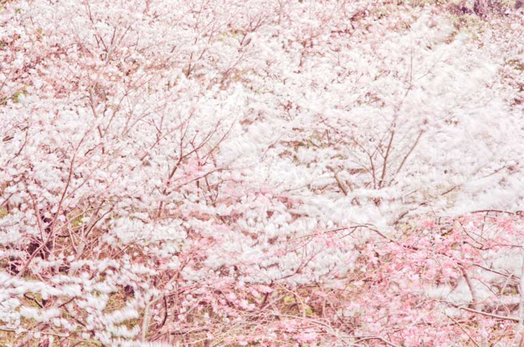 春風
