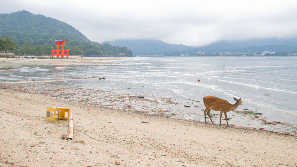 海岸散歩