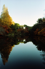 池の水が鏡みたいに