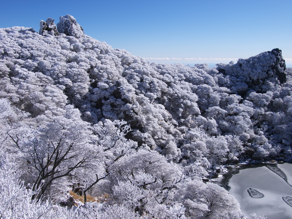 霧氷～ライオン岩～