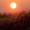 Bye , Sun