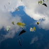 Sky Leaf