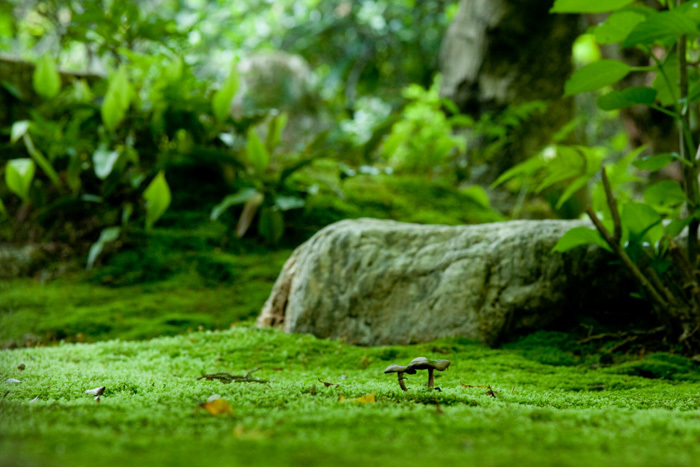 Green space