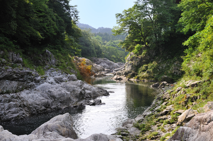 鮎滝から下流（寒狭川）