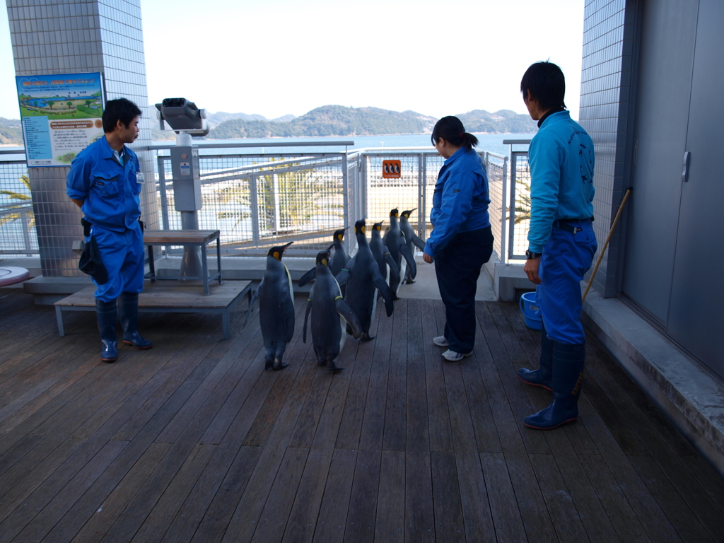 出動