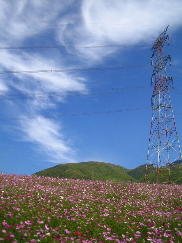 電波塔