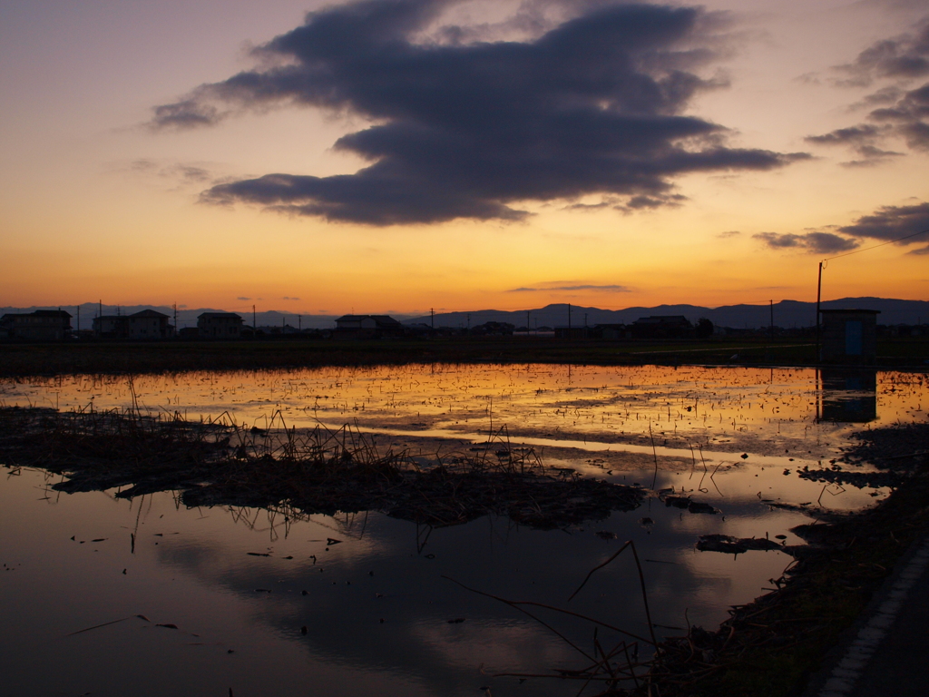 夕暮れ