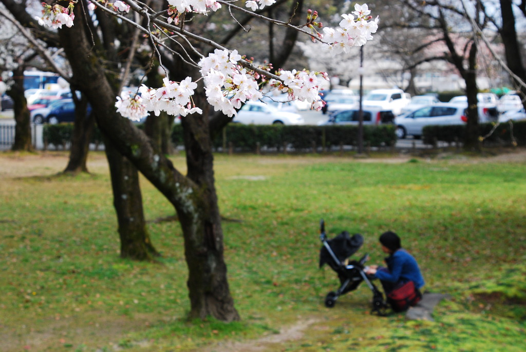 公園にて