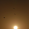 夕暮れ