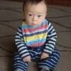 縞縞野郎