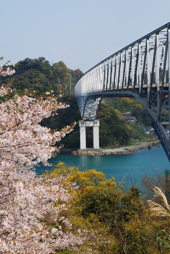 空、海、橋、桜。