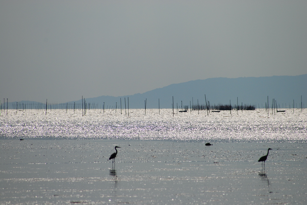 干潟の風景　〜有明海島原湾〜