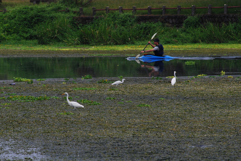 江津湖にて