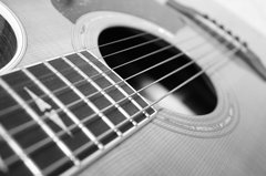 taylor814c